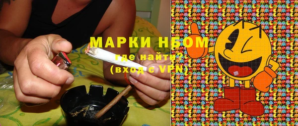 шишки Пестово