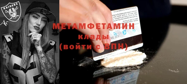 шишки Пестово