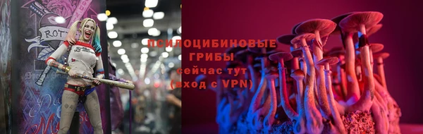 дурь Щучье