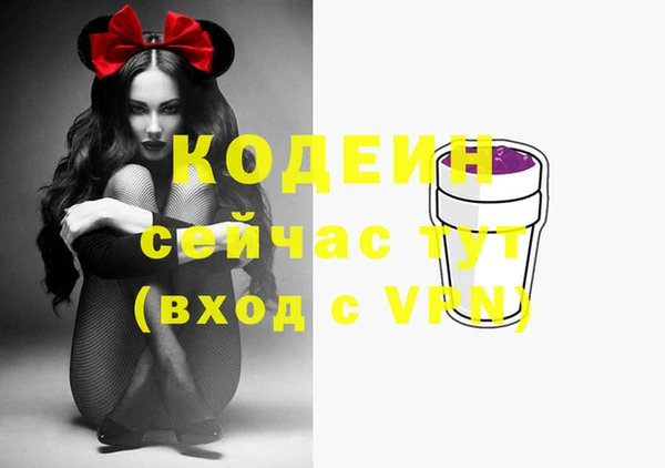 дурь Щучье