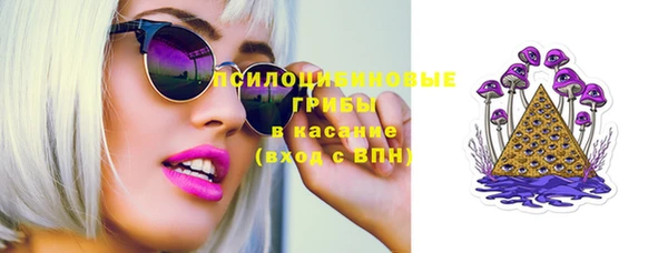 шишки Пестово