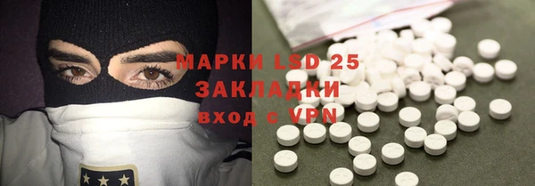 шишки Пестово