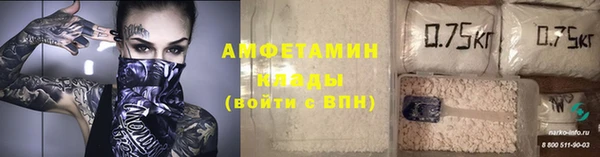 шишки Пестово