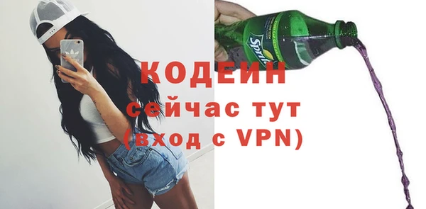 дурь Щучье