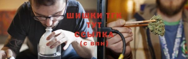 не бодяженный Пересвет