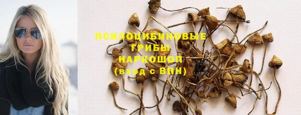 не бодяженный Пересвет