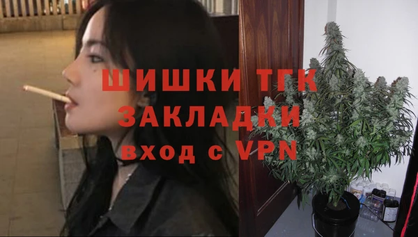 шишки Пестово
