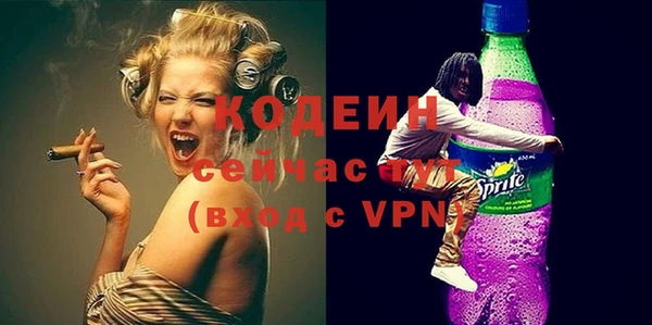 шишки Пестово