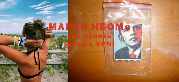 шишки Пестово