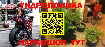 прущие грибы Балахна