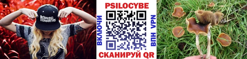 Галлюциногенные грибы Cubensis  Аксай 