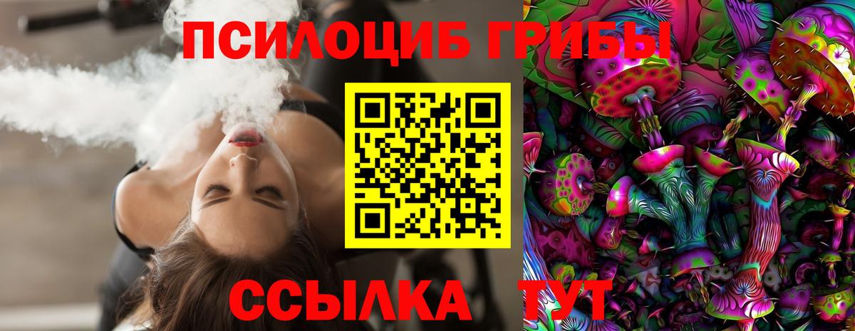 Галлюциногенные грибы Cubensis  Псилоцибиновые грибы Psilocybine cubensis  Аксай 